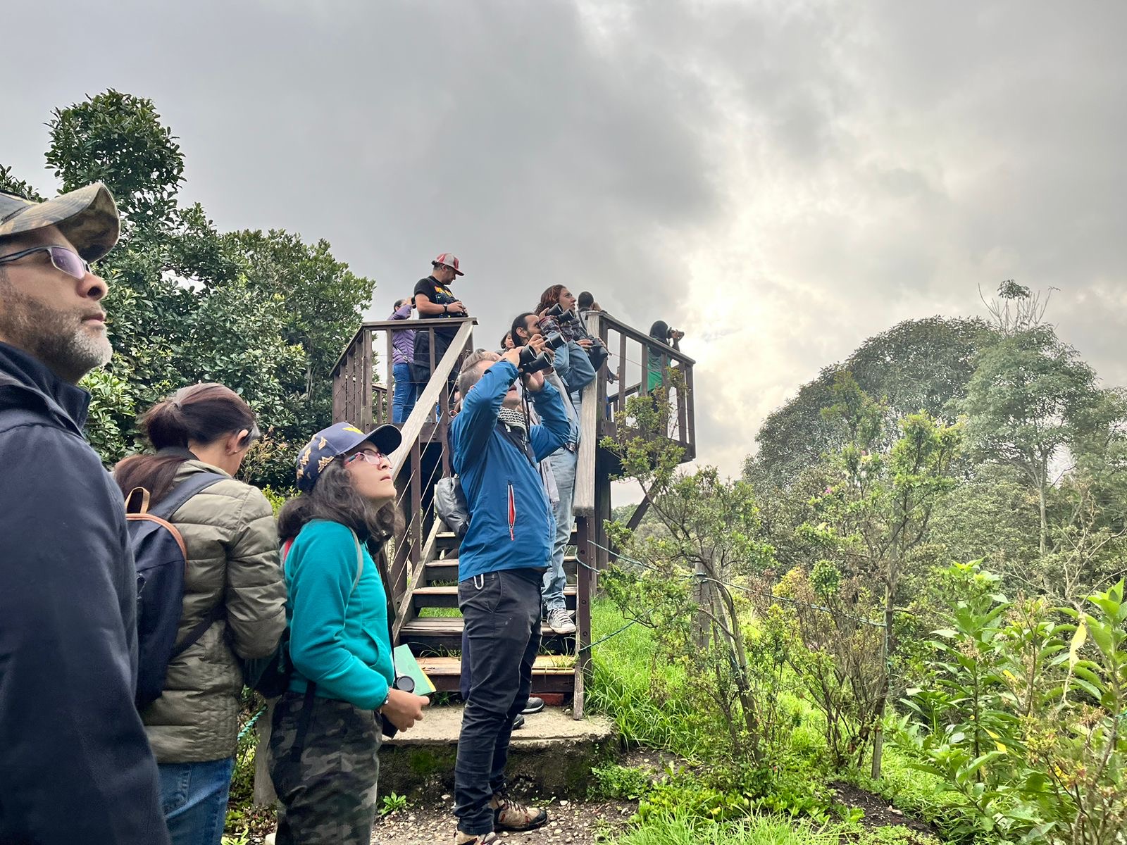 Bogotá se unió a la celebración del Global Big Day 2024 con el avistamiento de aves: Una jornada de diversidad y conciencia ambiental