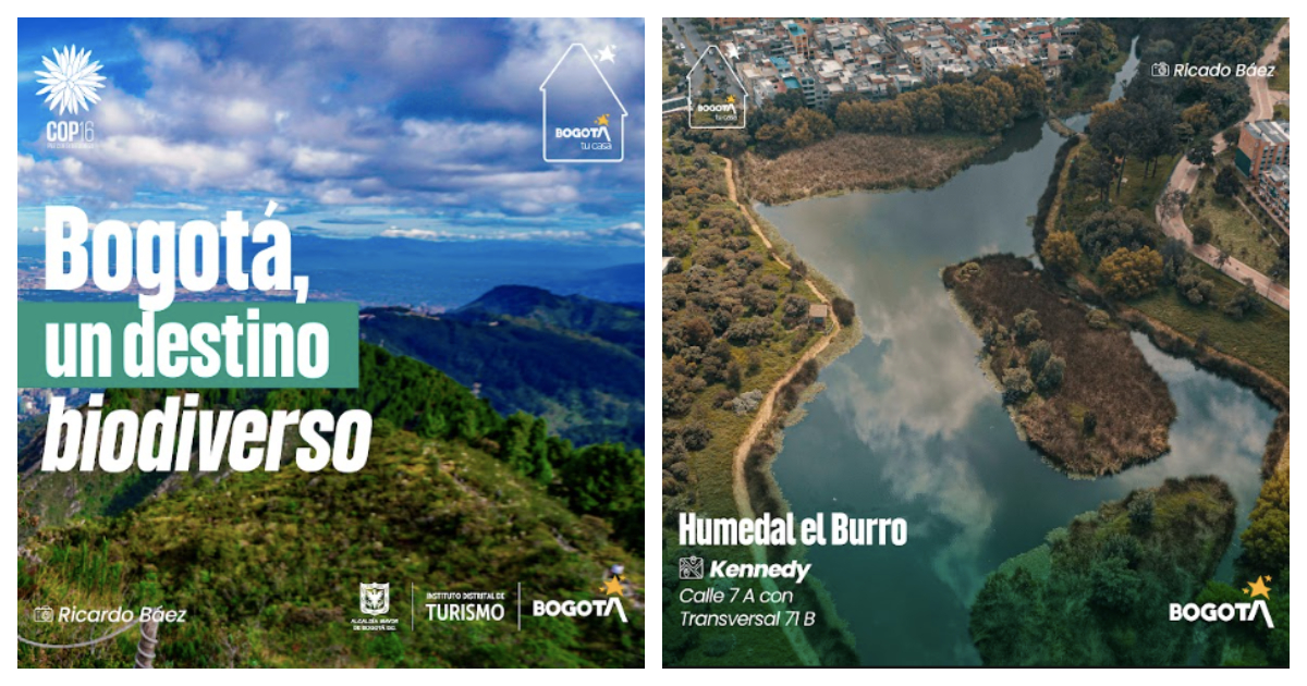 Asistentes a la COP16 disfrutan de la exposición fotográfica digital ‘Bogotá, un destino biodiverso’