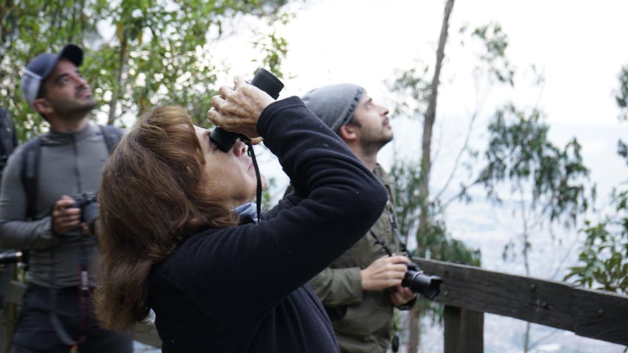 Descubre el avistamiento de aves en Bogotá: Más de 20 lugares para disfrutar del turismo de naturaleza.