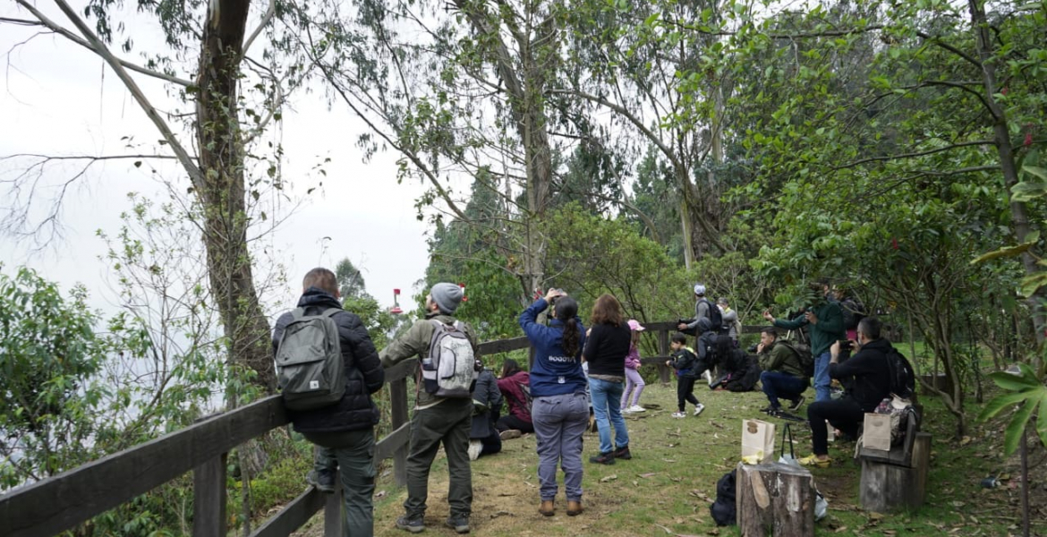 Reapertura del Sendero El Paramuno en el Cerro Monserrate: Una oportunidad para el Turismo Sostenible y la conservación de la naturaleza en Bogotá