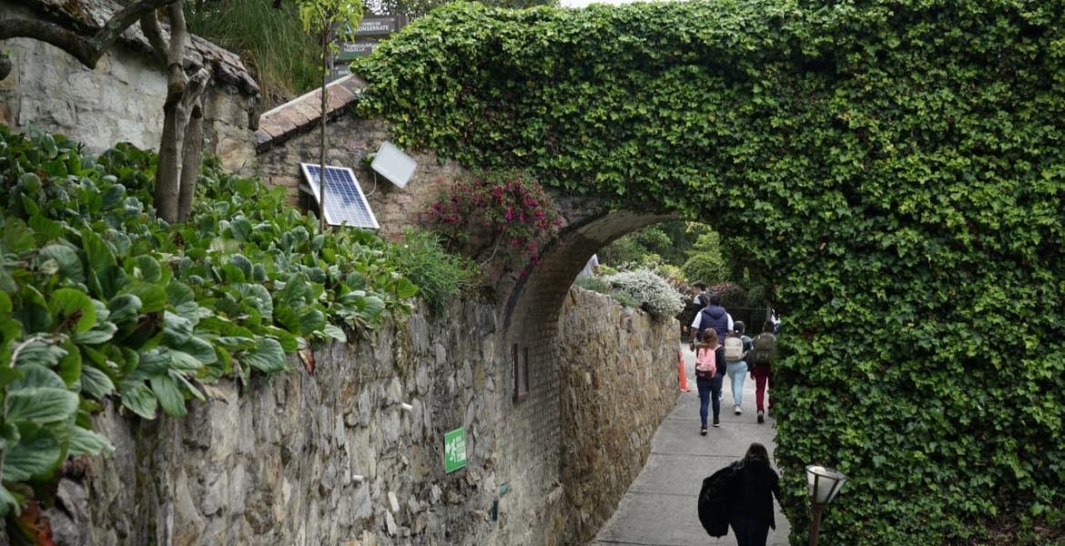 Reapertura del Sendero El Paramuno en el Cerro Monserrate: Una oportunidad para el Turismo Sostenible y la conservación de la naturaleza en Bogotá