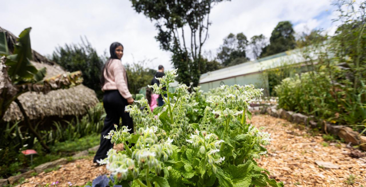 Más que agricultura: el festival que conectó biodiversidad, cultura y turismo en el corazón verde de Bogotá