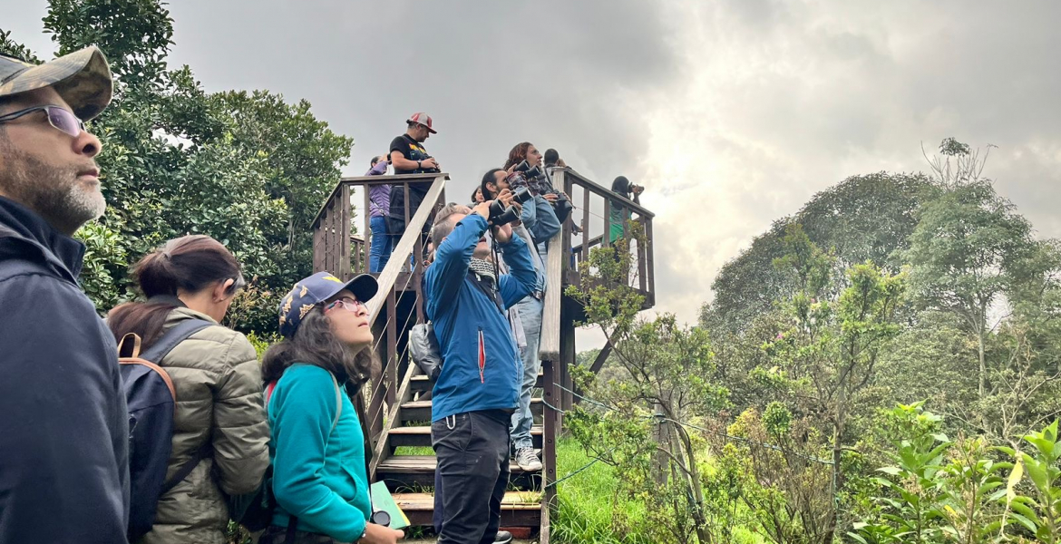 Descubre el avistamiento de aves en Bogotá: Más de 20 lugares para disfrutar del turismo de naturaleza.