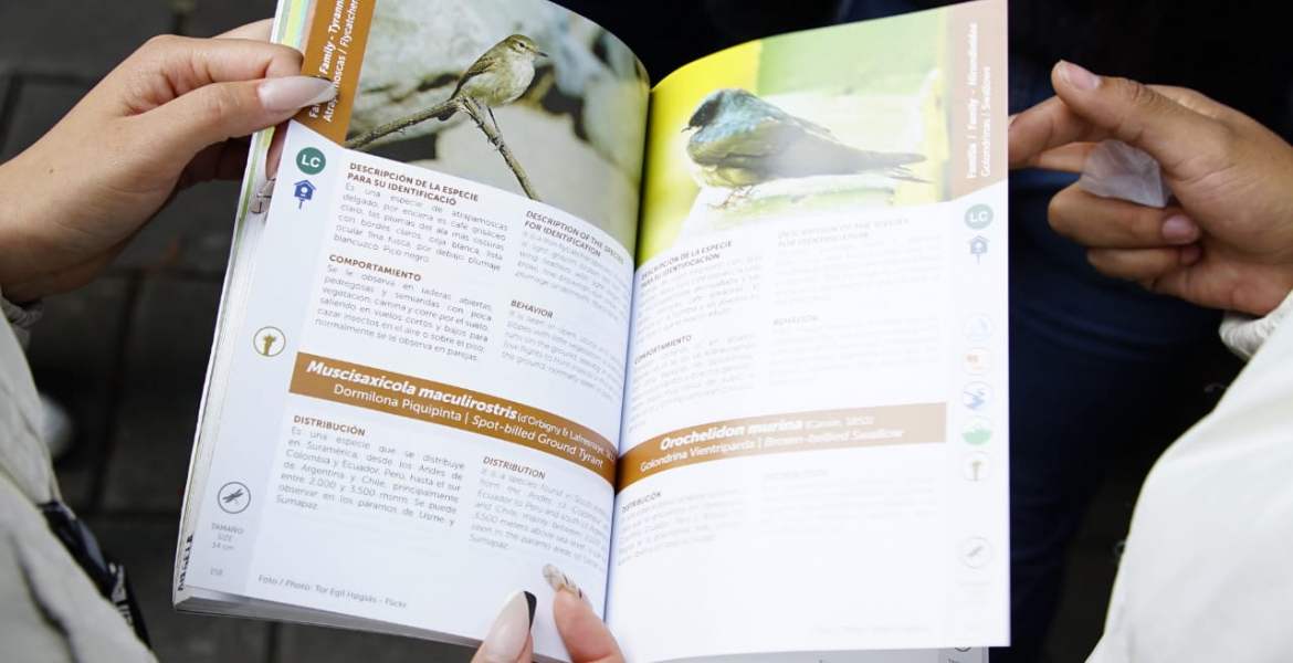 Descubre el avistamiento de aves en Bogotá: Más de 20 lugares para disfrutar del turismo de naturaleza.