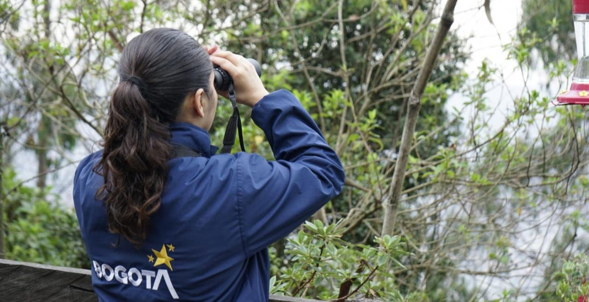 Descubre el avistamiento de aves en Bogotá: Más de 20 lugares para disfrutar del turismo de naturaleza.