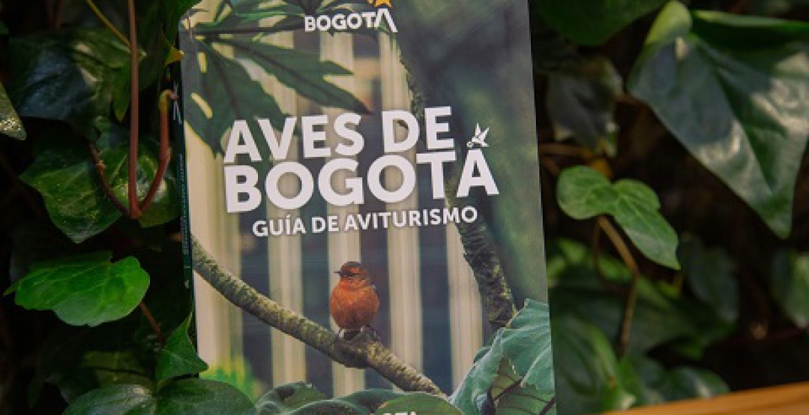 IDT premia creatividad a concursantes de #Aventanear