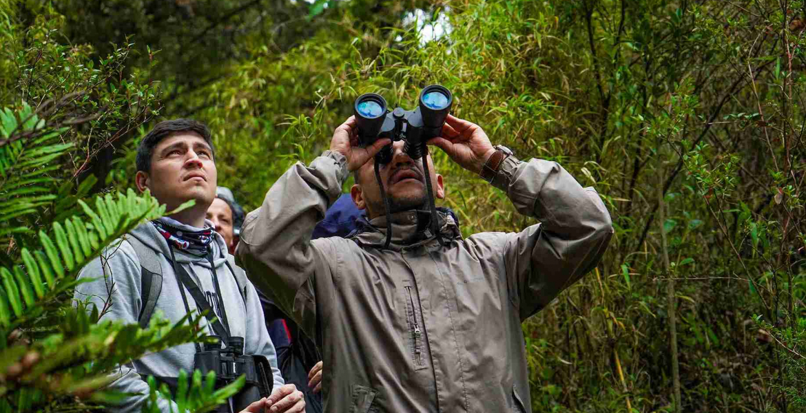 Más de 200 razones para mirar al cielo: Bogotá celebra el Global Big Day con un conversatorio sobre turismo de aves y conservación