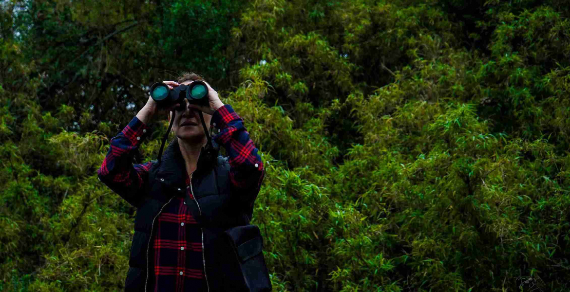 Más de 200 razones para mirar al cielo: Bogotá celebra el Global Big Day con un conversatorio sobre turismo de aves y conservación