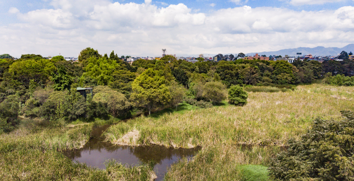 Conoce y disfruta del parque ecológico distrital de humedal Santa María del Lago en Bogotá