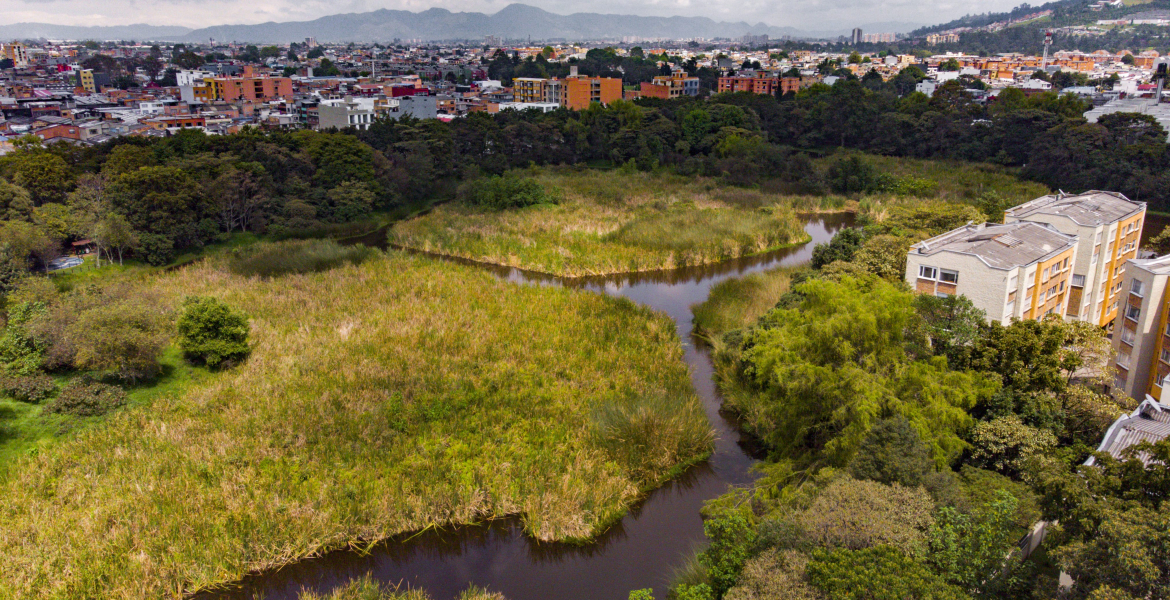 Conoce y disfruta del parque ecológico distrital de humedal Santa María del Lago en Bogotá