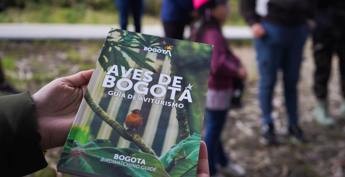 MINCOMERCIO SE UNE AL IDT PARA OFRECER JORNADA URBANA DE AVISTAMIENTO DE AVES EN EL GLOBAL BIG DAY 2023