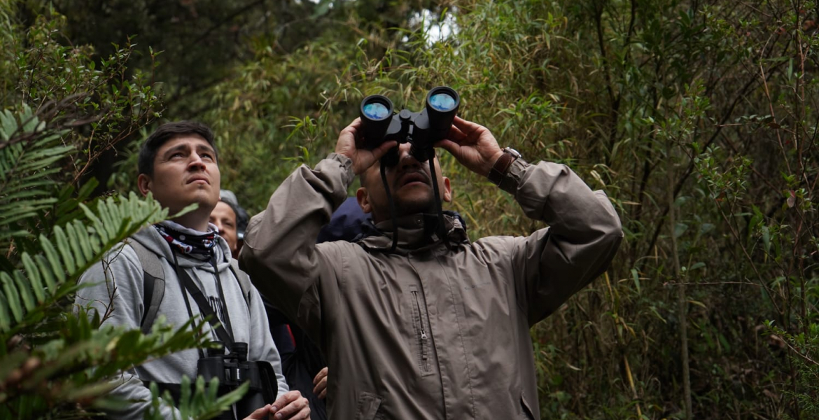 MINCOMERCIO SE UNE AL IDT PARA OFRECER JORNADA URBANA DE AVISTAMIENTO DE AVES EN EL GLOBAL BIG DAY 2023