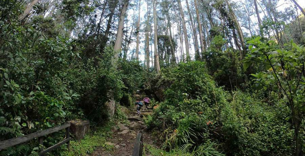 Inscríbete gratis a las caminatas ecológicas por el camino Santa Ana La Aguadora en Bogotá