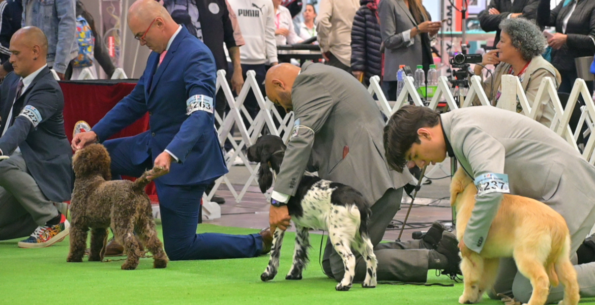 Bogotá, epicentro del cuidado y bienestar animal: Expopet se toma Corferias