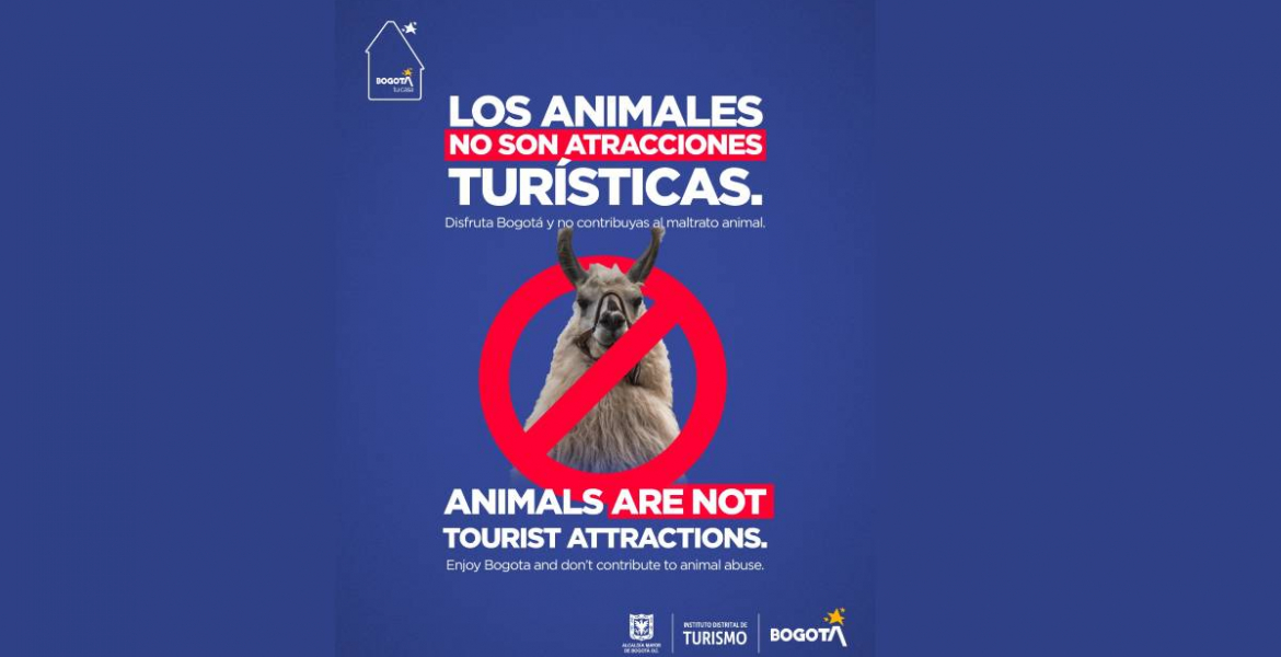 Bogotá lanza campaña de sensibilización para prevenir el maltrato animal en el contexto del turismo y promover prácticas responsable