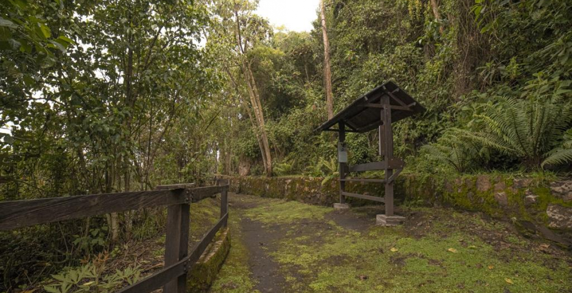 Bogotá potencia de turismo de naturaleza responsable y sostenible 