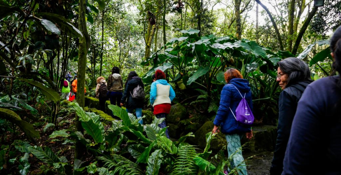 Bogotá potencia de turismo de naturaleza responsable y sostenible 
