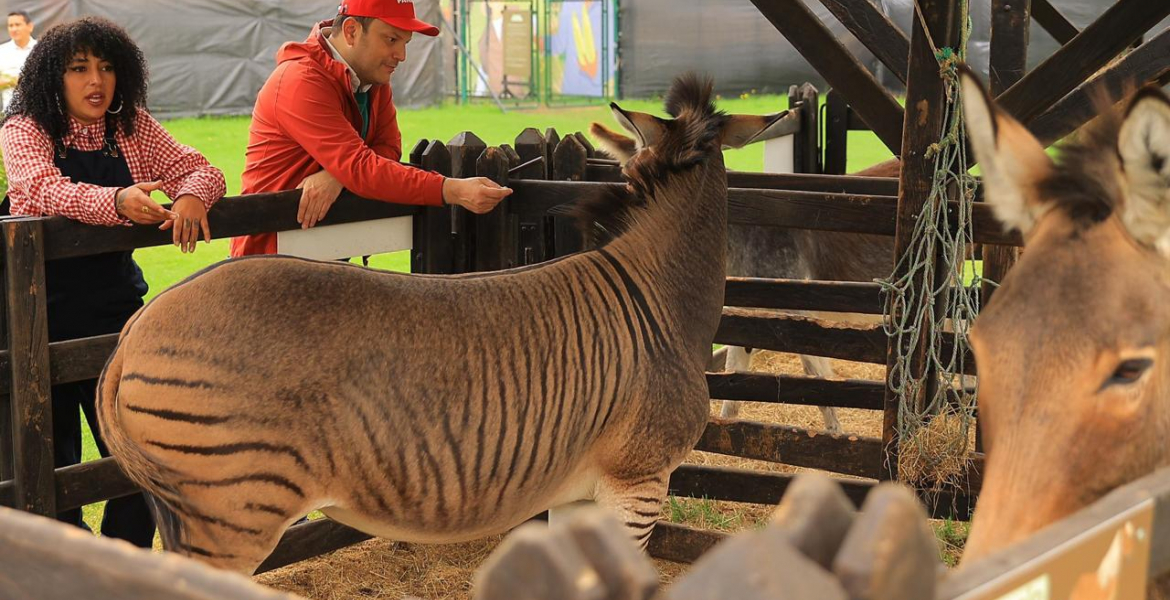 Panaca Viajero Bogotá: una experiencia turística itinerante que conecta la ciudad con el campo y la naturaleza