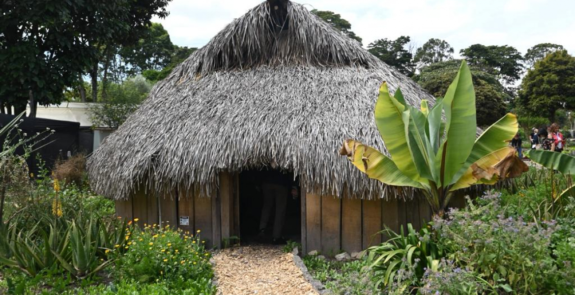 IDT y Jardín Botánico potencian el Centro de Atención al Visitante para que el público viva una experiencia fascinante