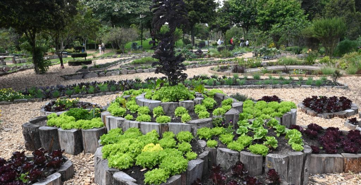 IDT y Jardín Botánico potencian el Centro de Atención al Visitante para que el público viva una experiencia fascinante