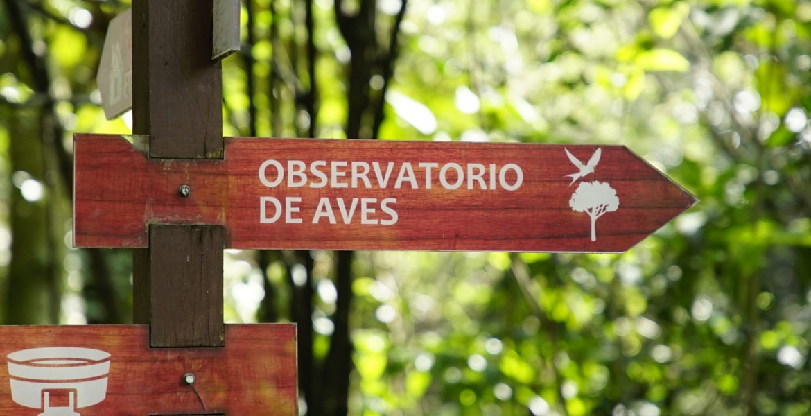 Bogotá se unió a la celebración del Global Big Day 2024 con el avistamiento de aves: Una jornada de diversidad y conciencia ambiental