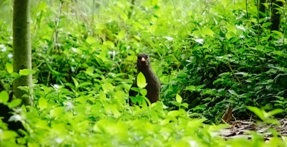 Sí al turismo de naturaleza, pero cumpliendo la normativa ambiental
