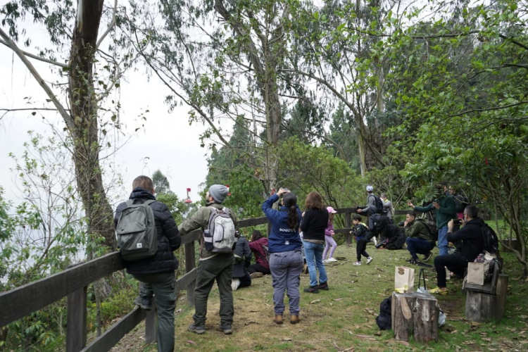 Reapertura del Sendero El Paramuno en el Cerro Monserrate: Una oportunidad para el Turismo Sostenible y la conservación de la naturaleza en Bogotá