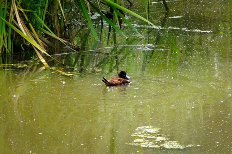 Sí al turismo de naturaleza, pero cumpliendo la normativa ambiental
