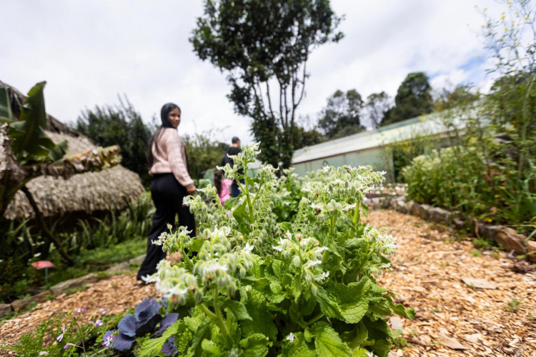Más que agricultura: el festival que conectó biodiversidad, cultura y turismo en el corazón verde de Bogotá