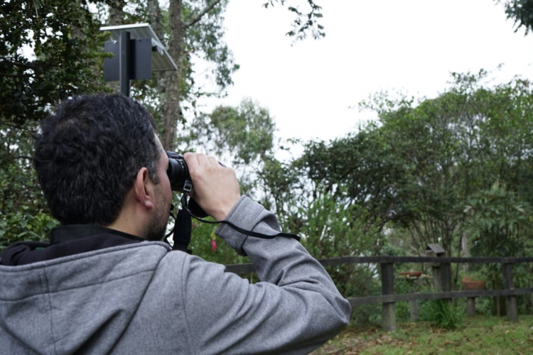 Reapertura del Sendero El Paramuno en el Cerro Monserrate: Una oportunidad para el Turismo Sostenible y la conservación de la naturaleza en Bogotá