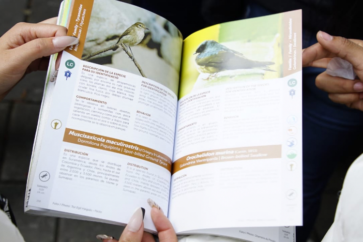Descubre el avistamiento de aves en Bogotá: Más de 20 lugares para disfrutar del turismo de naturaleza.