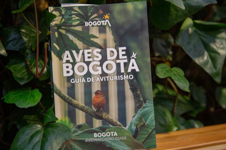IDT premia creatividad a concursantes de #Aventanear