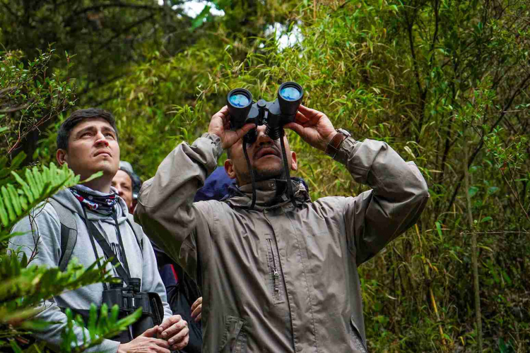 Más de 200 razones para mirar al cielo: Bogotá celebra el Global Big Day con un conversatorio sobre turismo de aves y conservación