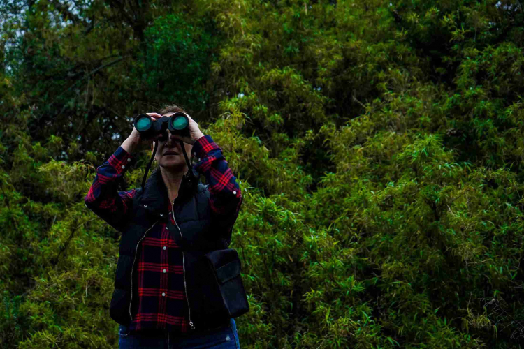 Más de 200 razones para mirar al cielo: Bogotá celebra el Global Big Day con un conversatorio sobre turismo de aves y conservación