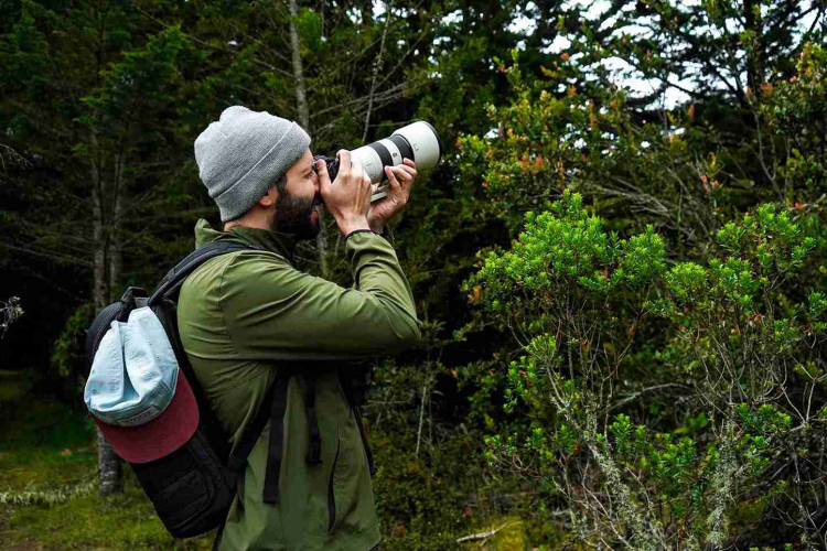 Más de 200 razones para mirar al cielo: Bogotá celebra el Global Big Day con un conversatorio sobre turismo de aves y conservación