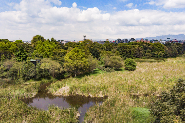 Conoce y disfruta del parque ecológico distrital de humedal Santa María del Lago en Bogotá