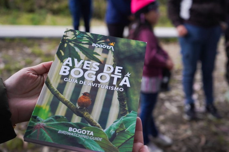 MINCOMERCIO SE UNE AL IDT PARA OFRECER JORNADA URBANA DE AVISTAMIENTO DE AVES EN EL GLOBAL BIG DAY 2023