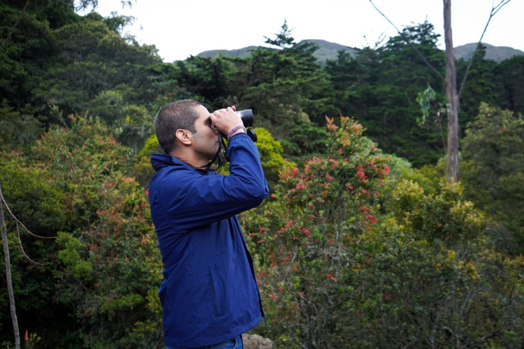 MINCOMERCIO SE UNE AL IDT PARA OFRECER JORNADA URBANA DE AVISTAMIENTO DE AVES EN EL GLOBAL BIG DAY 2023