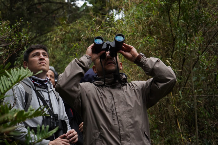 MINCOMERCIO SE UNE AL IDT PARA OFRECER JORNADA URBANA DE AVISTAMIENTO DE AVES EN EL GLOBAL BIG DAY 2023