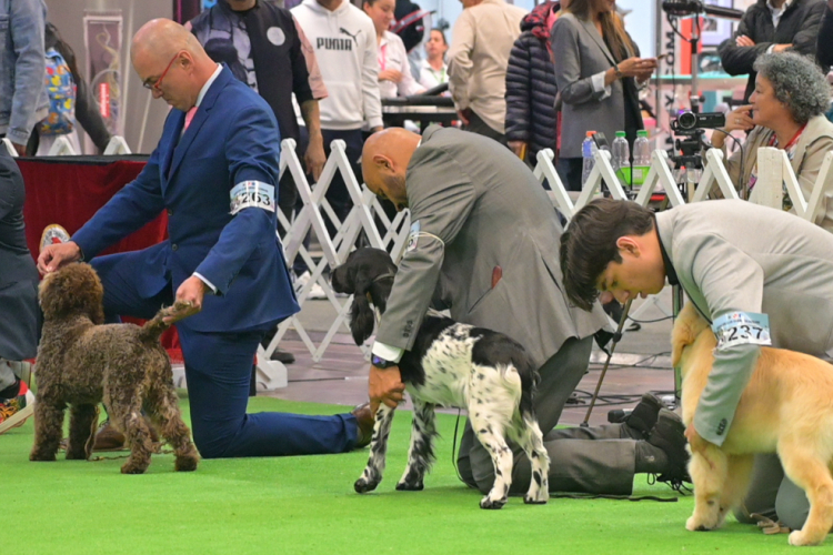 Bogotá, epicentro del cuidado y bienestar animal: Expopet se toma Corferias