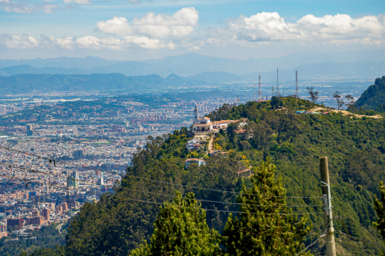 16 razones por las que debes visitar Bogotá si vienes a la Conferencia sobre la Diversidad Biológica (COP16)