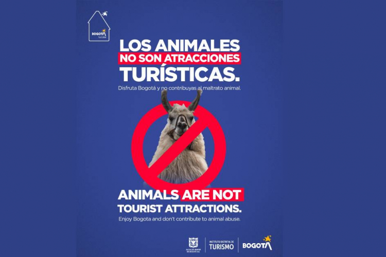 Bogotá lanza campaña de sensibilización para prevenir el maltrato animal en el contexto del turismo y promover prácticas responsable