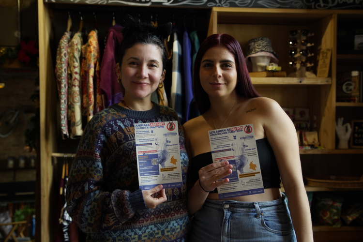 Bogotá pone en marcha su campaña contra el maltrato animal en entornos turísticos