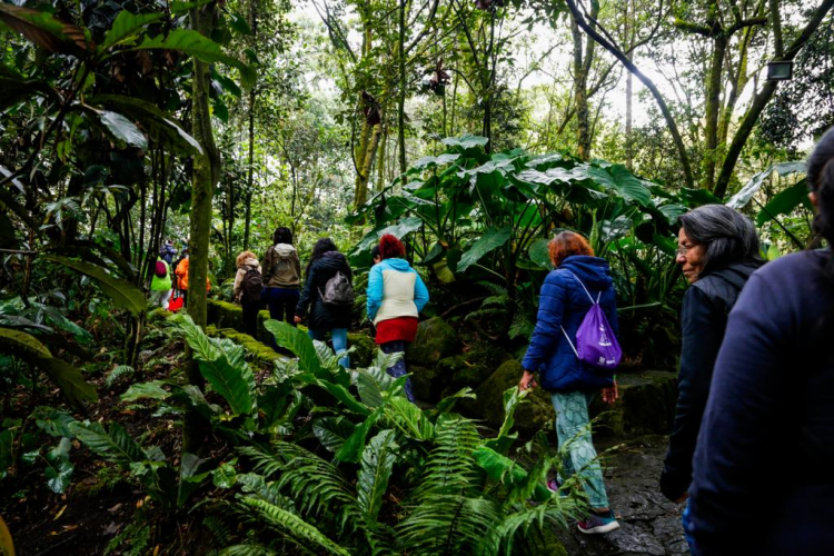 Bogotá potencia de turismo de naturaleza responsable y sostenible 