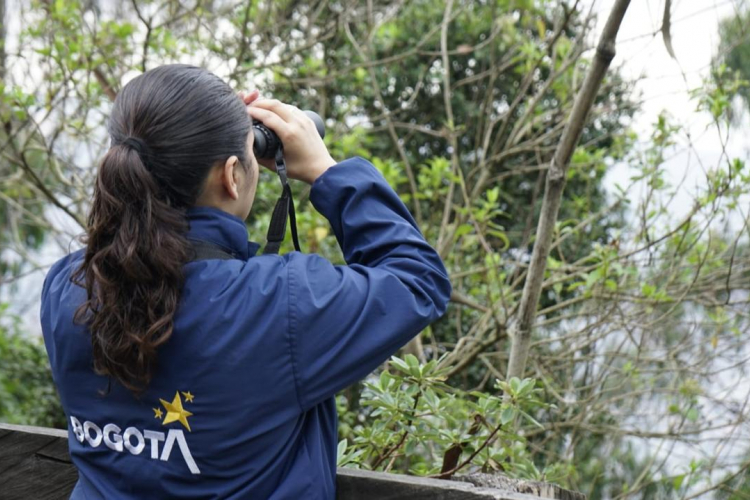 Bogotá alza vuelo: El IDT impulsa el Global Big Day 2024 para conectar con la naturaleza