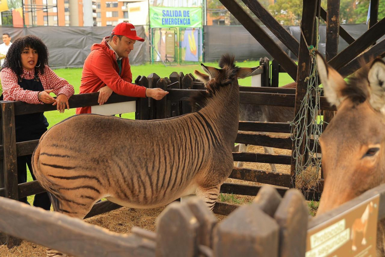 Panaca Viajero Bogotá: una experiencia turística itinerante que conecta la ciudad con el campo y la naturaleza