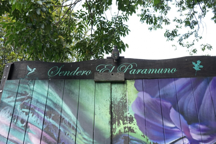 Reapertura del Sendero El Paramuno en el Cerro Monserrate: Una oportunidad para el Turismo Sostenible y la conservación de la naturaleza en Bogotá