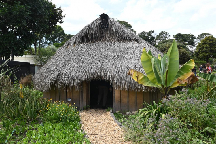 IDT y Jardín Botánico potencian el Centro de Atención al Visitante para que el público viva una experiencia fascinante