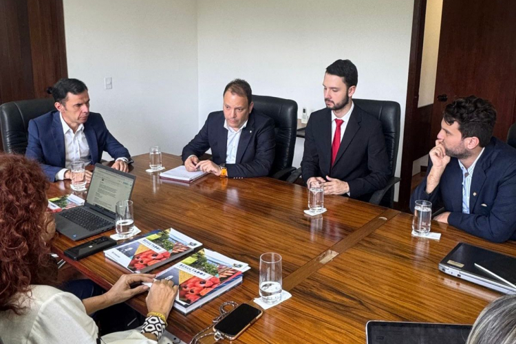 Bogotá fortalece lazos turísticos y comerciales con Brasilia