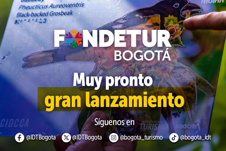 FONDETUR se alista para lanzar sus convocatorias públicas por más de $1.200 millones